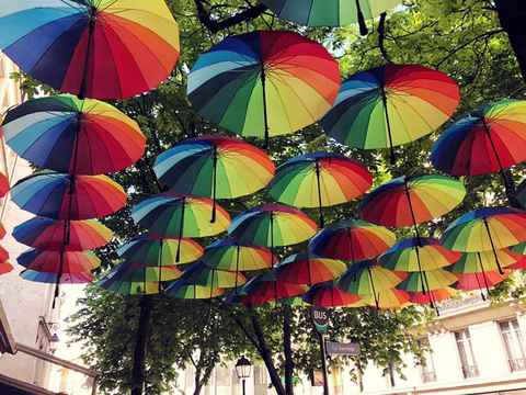 parapluies colorés